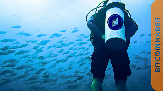 Ethereum Balinaları Piyasayı Hareketlendirdi