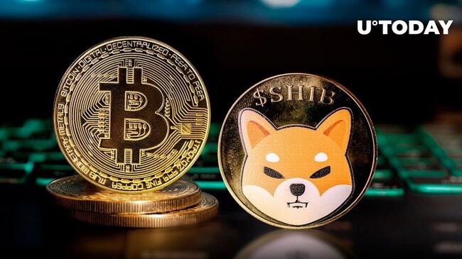 SHIB Exec Shares Crucial Shiba Inu and Bitcoin Message to Community
