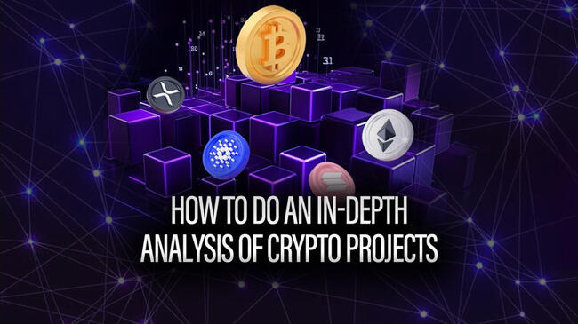 How to Do an In-Depth Analysis of Crypto Projects