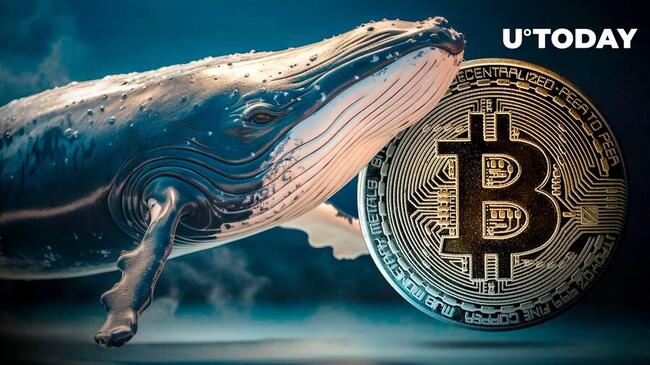 Bitcoin Whale Snaps Up $411M in BTC Amidst Market Uncertainty