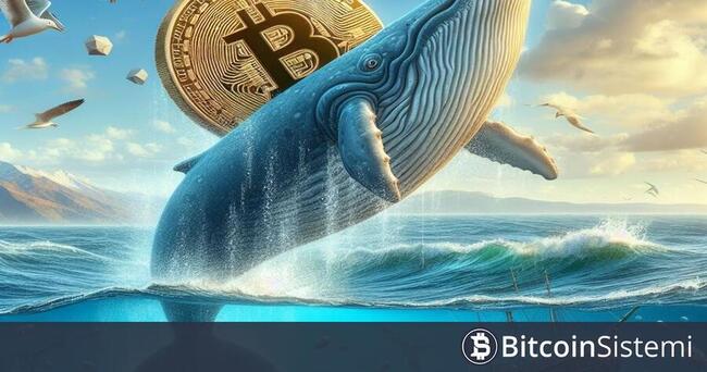 Dikkat: Devasa Bitcoin Balinaları Harekete Geçti! Bu Seviyelerden İnanılması Güç Miktarda BTC Biriktirdiler