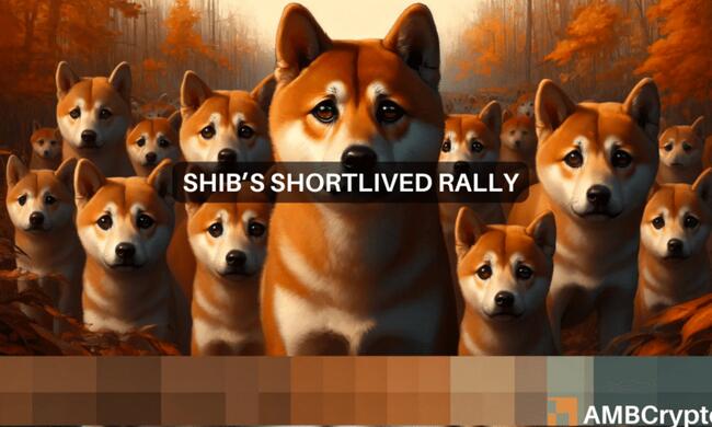 Is Shiba Inu’s 10% price hike going to last? Here’s what the signs say…