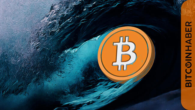 Balinalar Bitcoin Biriktiriyor