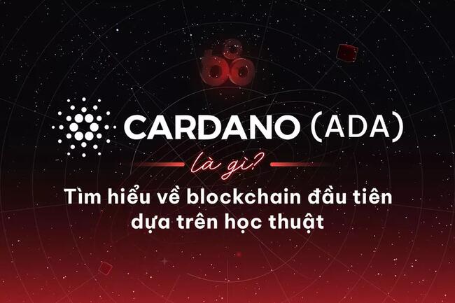 Cardano (ADA) là gì? Tìm hiểu về blockchain đầu tiên dựa trên học thuật