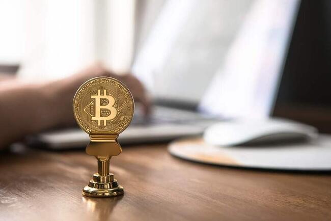Bekende crypto trader voorspelt Bitcoin koers stijging naar $43 miljoen – Welke altcoins gaan ook exploderen?