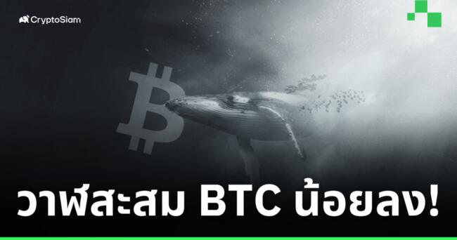 อิ่มแล้ว? IntoTheBlock พบวาฬเริ่มมีการสะสม Bitcoin น้อยลง!