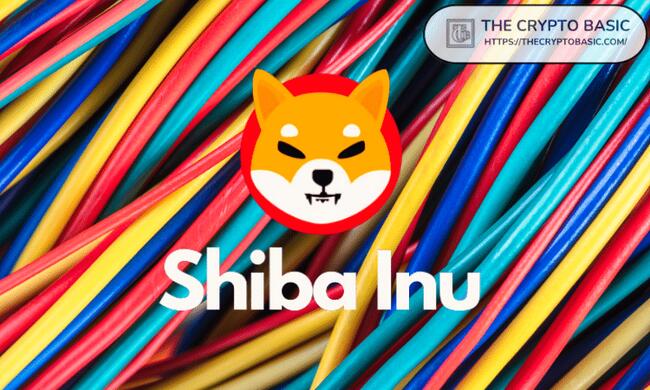 Shiba Inu Reveals Exciting Details about This Project