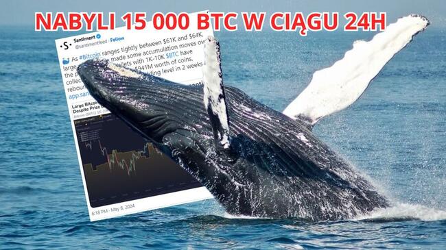 Wieloryby masowo kupują Bitcoiny, gdy Fed opóźnia cięcia stóp