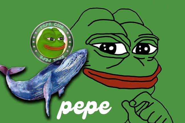 Pepe Price: Whale Bags 357B PEPE Signaling Further Gains Ahead