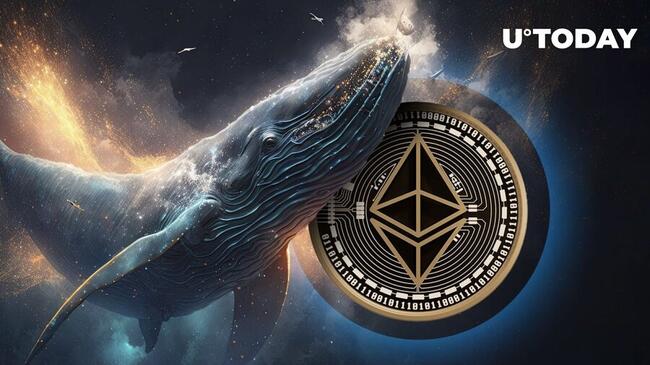 Mysterious Whale Pulls 6,030 Ethereum (ETH) From Exchange as Price Eyes $3,000