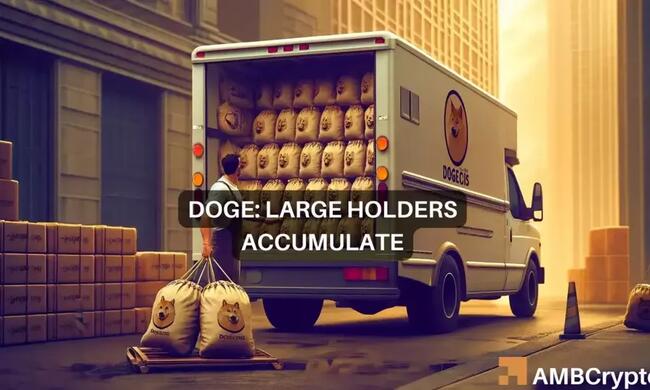 Dogecoin holders up their stake by 1%: 265.86M reasons to buy DOGE?