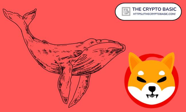 Whales Move 705,917,885,653 Shiba Inu Out of Exchanges in 24 Hours