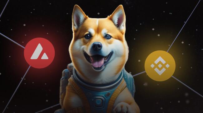 Новая мем-монета Dogeverse привлекает 13 млн долларов на ICO – следующий Dogecoin?