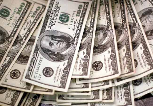 Crypto VC Firms Pour Millions Into “Professor Coins” Despite Centralization Concerns