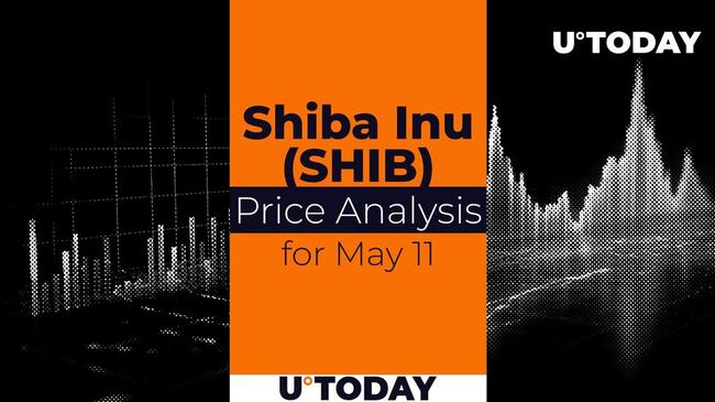 SHIB Price Prediction for May 11