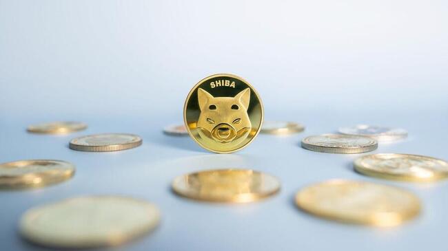 Shiba Inu, Avalanche และ InQubeta 3 เหรียญเต็งเจ้ามือเล็งช้อนซื้อในช่วงตลาดกระทิง