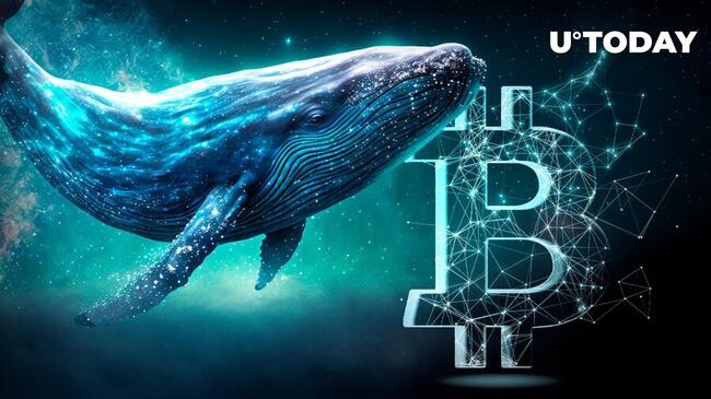 Ancient Bitcoin Whales Suddenly Awake After 10.7 Years With 49,274.2% Profit