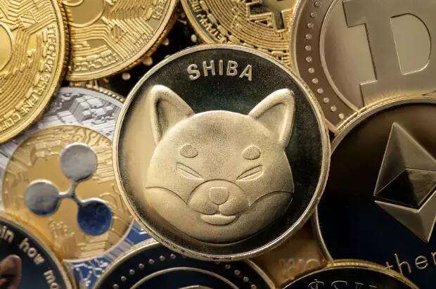 Warum dieser Shiba Inu (SHIB)-Konkurrent die nächste Meme-Coin ist, den es zu beobachten gilt