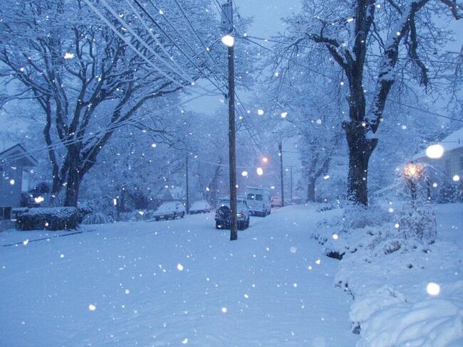 Solana Snowfall? Price Plunges Amidst Market Correction – Will It Get Worse?