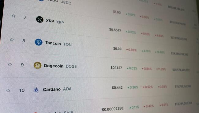 Crypto Radar: Toncoin ya ha subido un 50%, esta es la razón