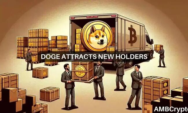 Dogecoin’s ‘big boys’ are buying: Should you do the same?