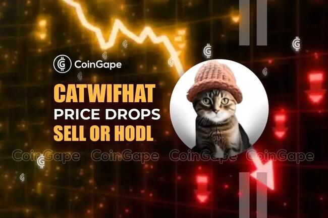 Catwifhat Price Drops After a Week Rally: Sell or HODL