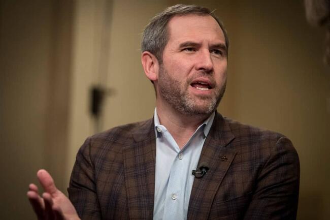 Ripple CEO Brad Garlinghouse Names the Next Crypto Target of the US Govt