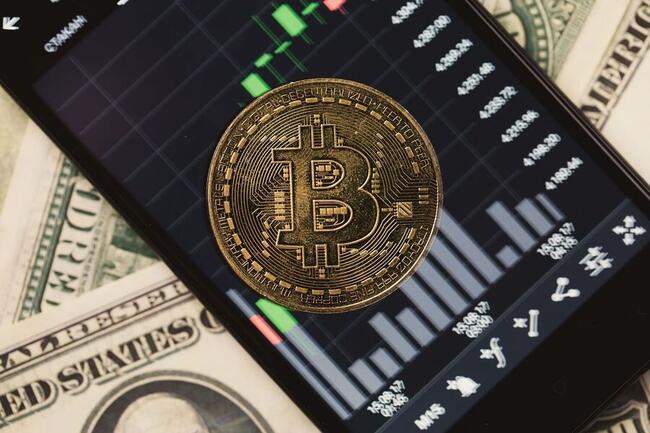 Tim Draper leads $3.5 million raise for Bitcoin liquidity protocol Zest