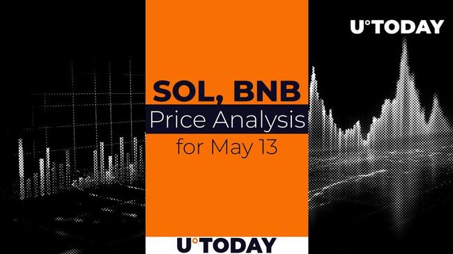 SOL and BNB Price Prediction for May 13