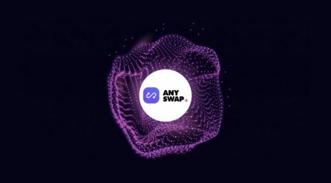 What is Anyswap Coin?