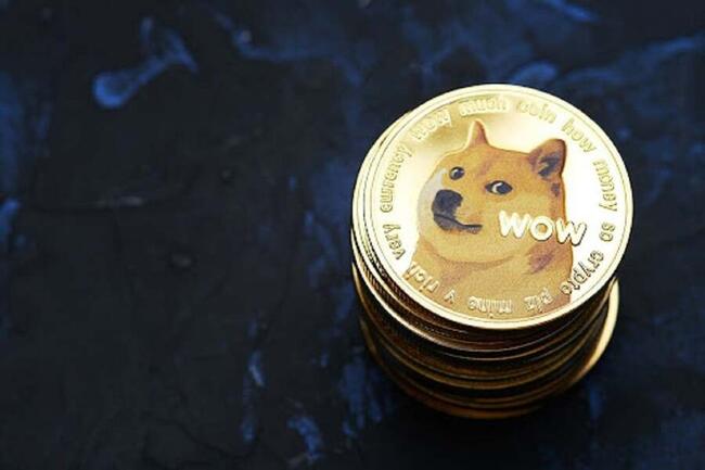 Frühe Käufer in neuen Dogecoin Killer Meme Coin Bereich bis 400%, ist ein CEX Listing möglich?