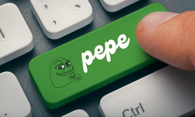 Pepe: Mit 18 Prozent Kursplus zum neuen Allzeithoch