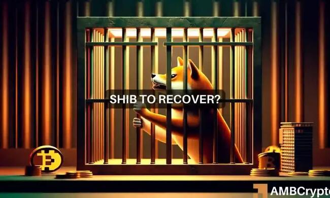 Shiba Inu [SHIB] podría recuperarse un 20%, pero sólo con ESTA condición