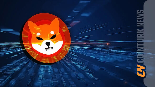 Shiba Coin Faces Persistent Market Challenges