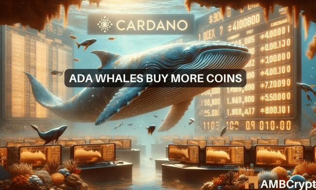 Can Cardano whales help overcome ADA’s 7% drop in value?