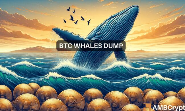 ¿La gran liquidación de Bitcoin?  Las ballenas abandonan el barco cuando BTC se detiene en $62,000