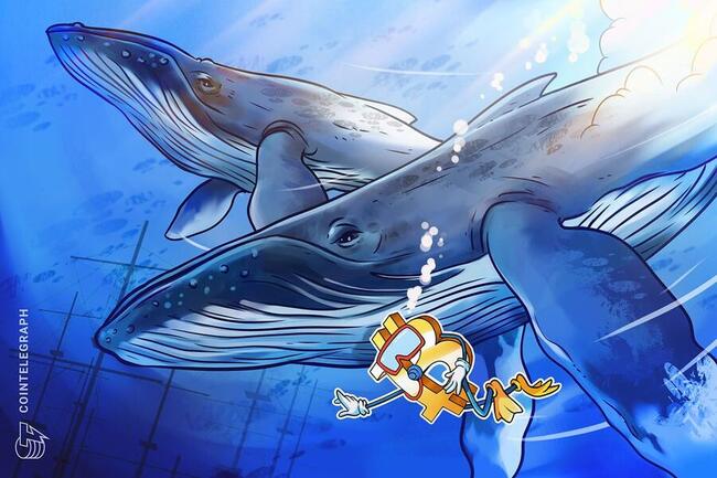 Bitcoin whale demand accelerates but price jump could ‘take weeks’ — Analysts