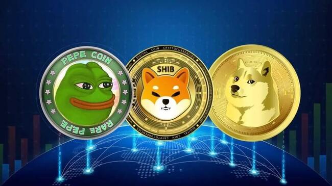 Popular Memecoin Has Made an Update to Its Blockchain Network! Price is on the Rise!