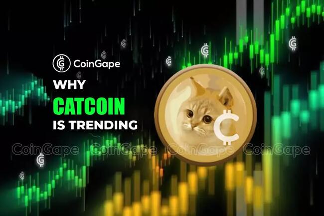 3 Top Reasons Why Catcoin (CAT) is trending Today