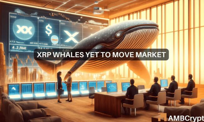 Las ballenas XRP suman $55 millones, pero el precio vuelve a bajar – ¿Qué está pasando?
