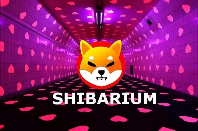ShibaSwap tung ra bản nâng cấp lớn, chuyển sang Shibarium
