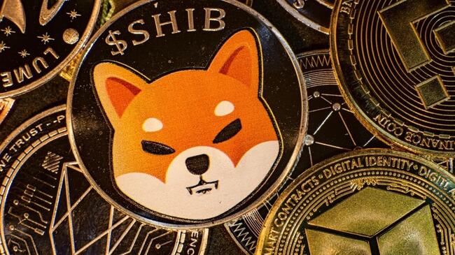 Shiba Inu: Khi nào SHIB đạt 1 USD?