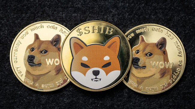 Bitcoin Yükselirken Meme Coinler Diğer Kripto Paraları Solladı!