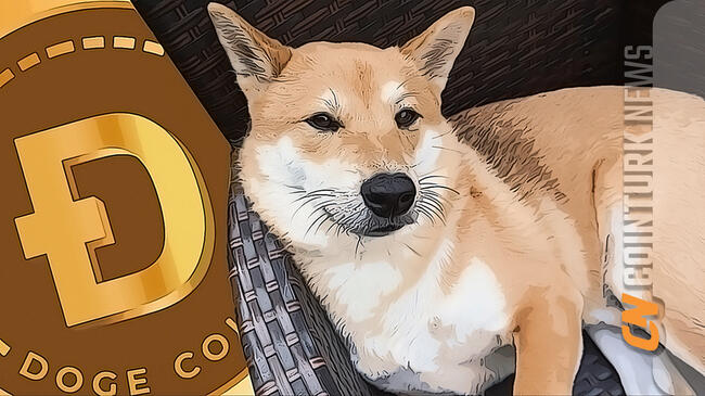 Dogecoin Faces Uncertain Future as Price Struggles to Gain Momentum