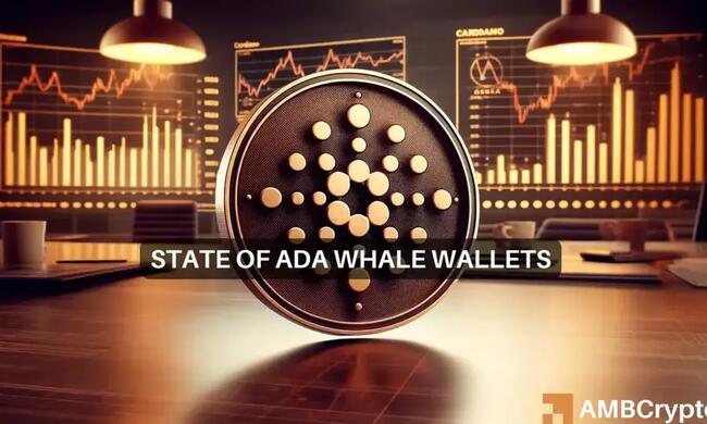 Cardano whales’ behaviour means THIS for ADA’s price and its traders