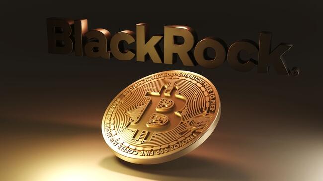 BlackRock, Bitcoin Sayesinde Akıllara Durgunluk Verdi