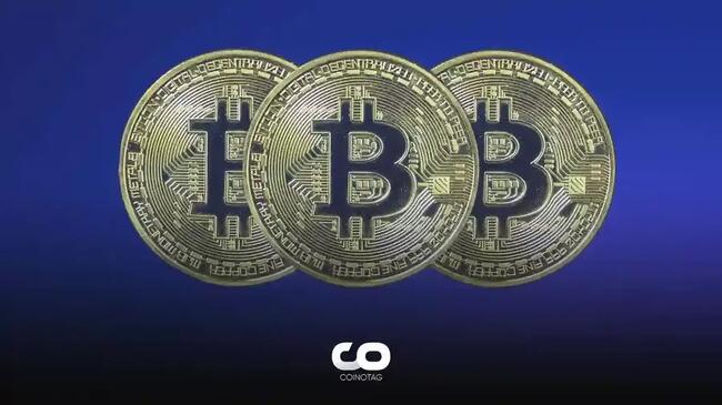 Kripto Piyasası İncelemesi: Bitcoin ve Altcoinlerde Güncel Durum