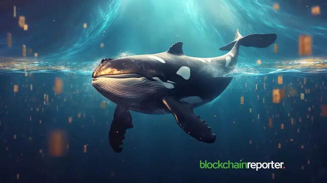 Whale Activity Solidifies $60K as Key Bitcoin Support Level