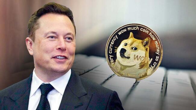 Comunidades DOGE e XRP otimistas após anúncio importante de Elon Musk
