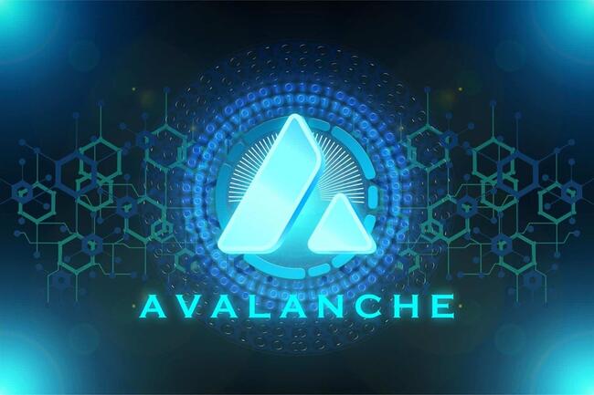 Avalanche (AVAX) Siap untuk Lonjakan US$40: Dana Investasi Anggur Berkualitas yang Ditokenkan Meningkatkan Prospek Harga